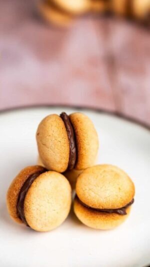 SANDWICH BUTTER COOKIES WITH CHOCOLATE IN THE MIDDLE